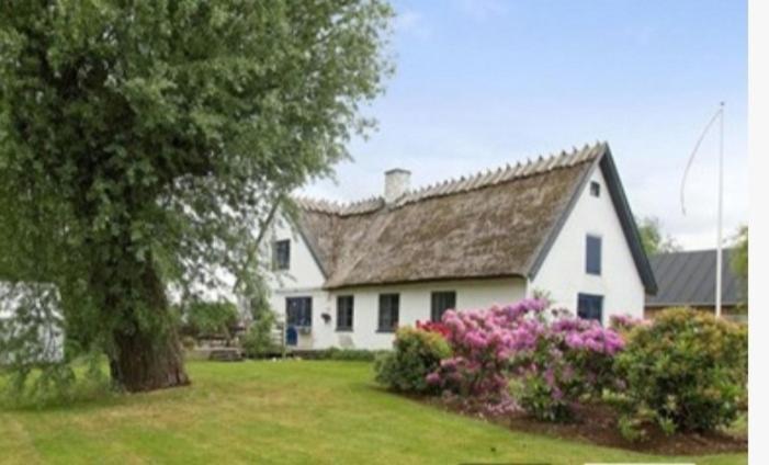 Pegasus Bed & Breakfast Хиллерёд Экстерьер фото